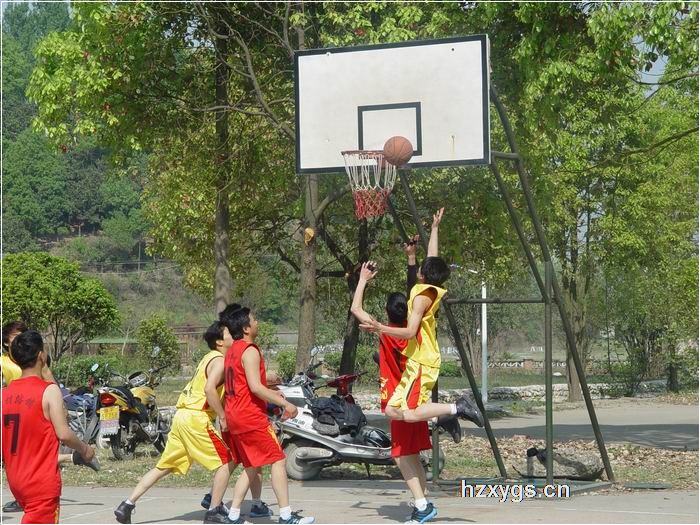 點擊查看放大圖